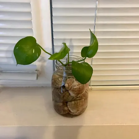 Pensiune Ssenyange Varna