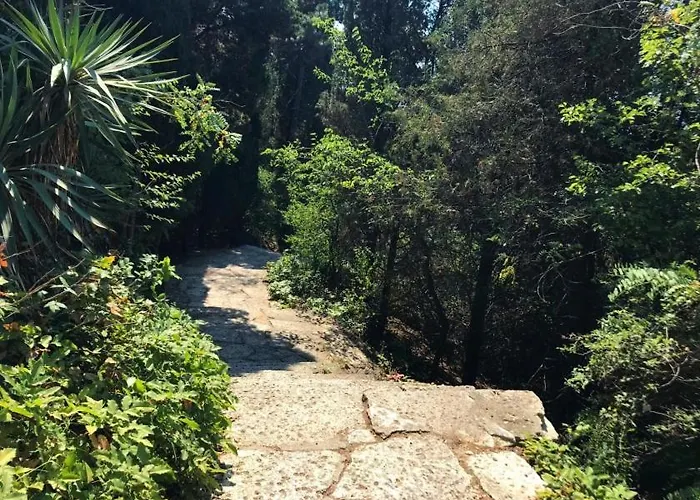 Ssenyange 3* 바르나